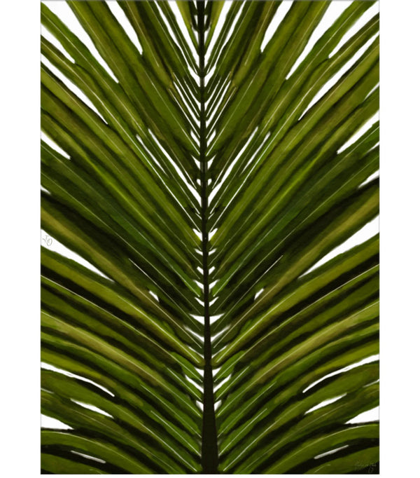 Palm