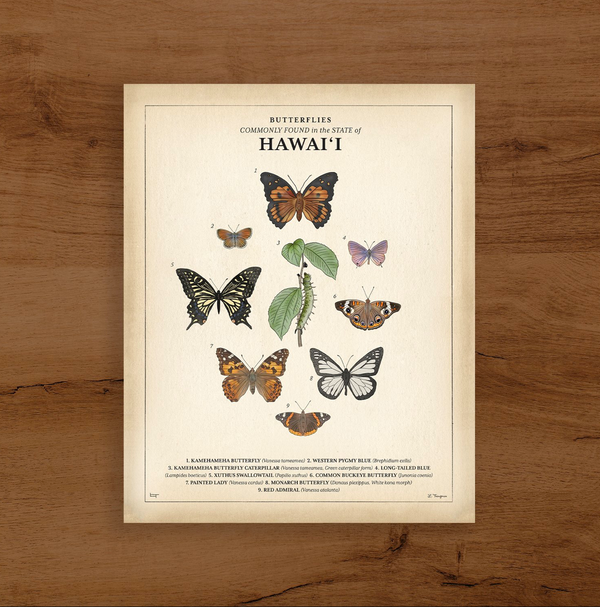 Butterflies commonly found in the state of Hawaii