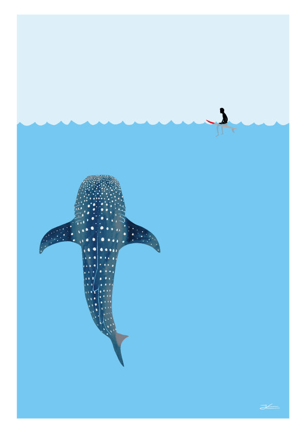 Whale Shark